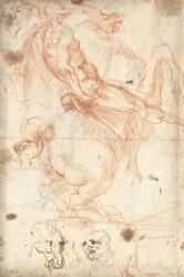 Studio equestre